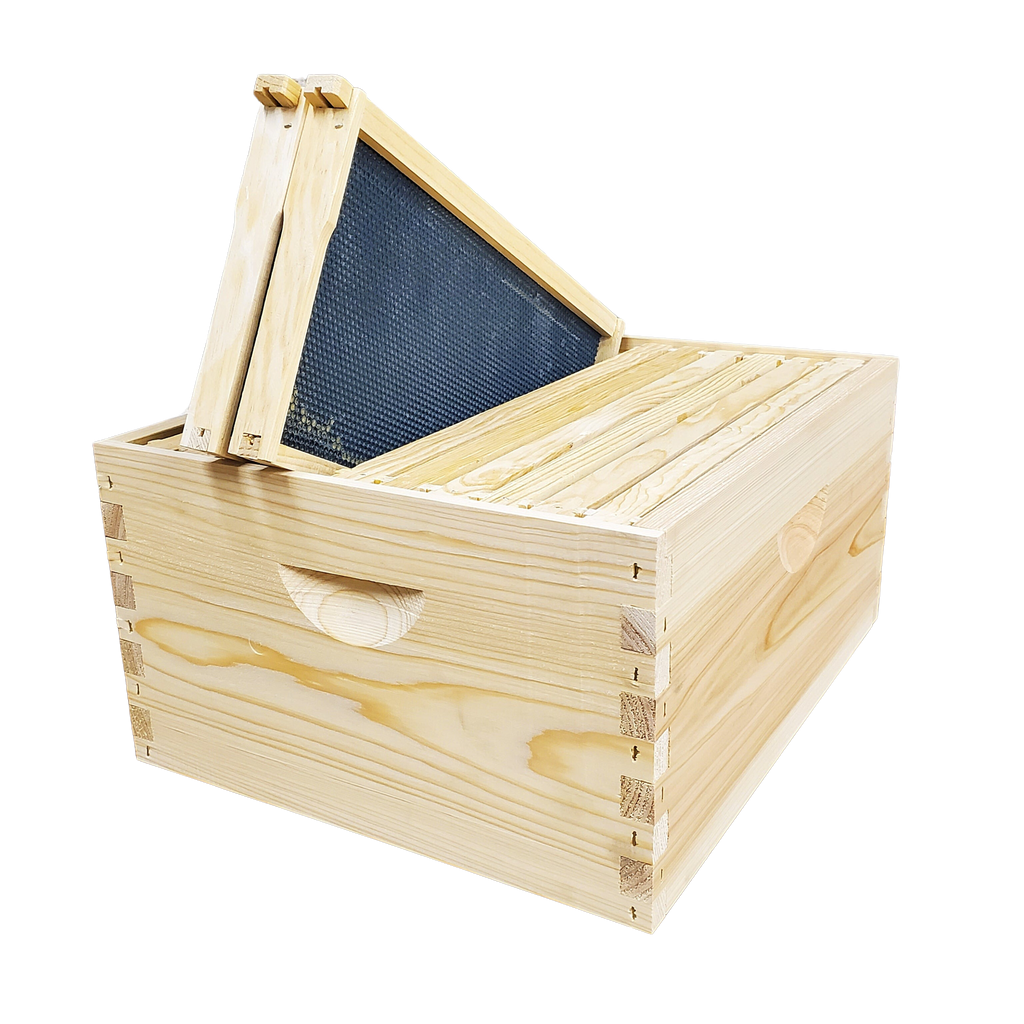 10-Frame Complete, Deep 9 5/8-inch Box with Frames and Foundation