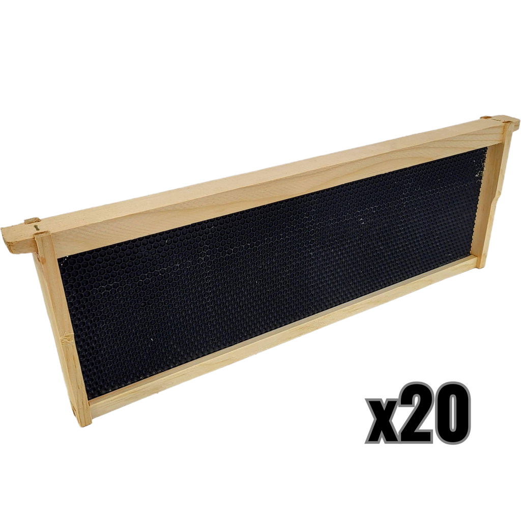 Medium 6 1/4-Inch Frame, Grooved Top / Grooved Bottom With Double Wax Foundation