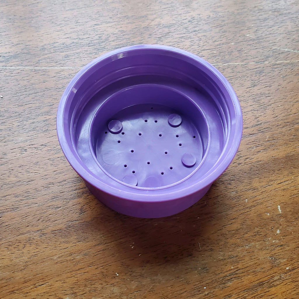 Bee Bar Lid