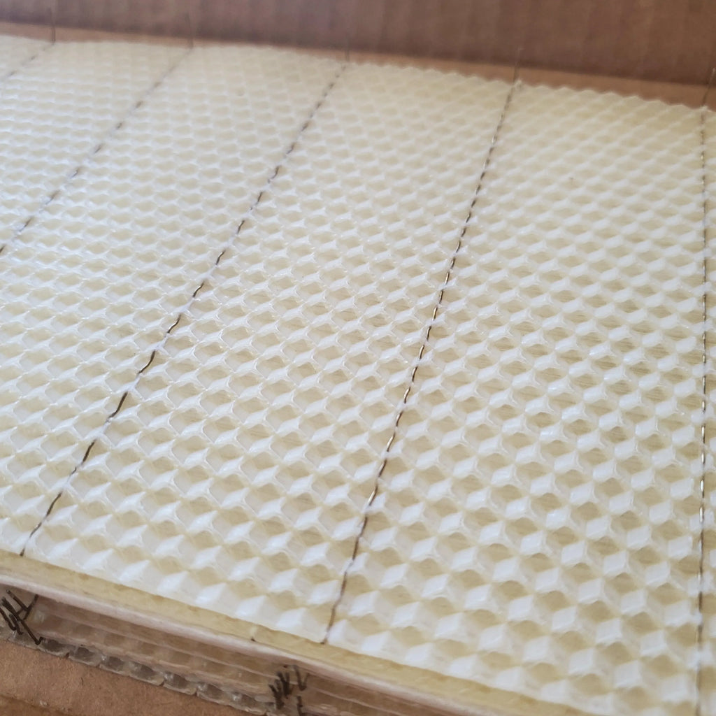 Medium Beeswax Foundation - Wired With Hooks - 5 5/8-inch