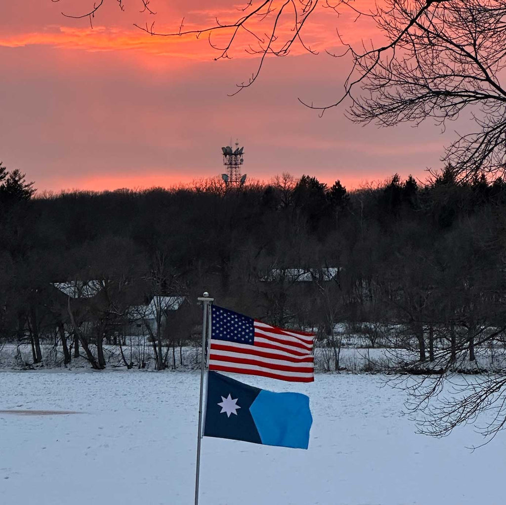 Minnesota State Flag