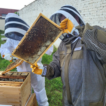 Online Beekeeping Course