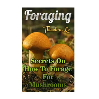 Foraging: Secrets On How To Forage For Mushrooms - Paperback